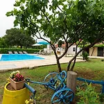 Ka Near Np Krka Waterfalls * Oklaj